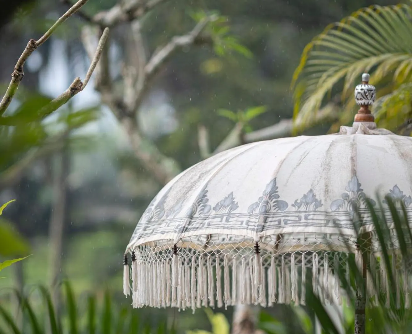 Graha Padi Villa Ubud