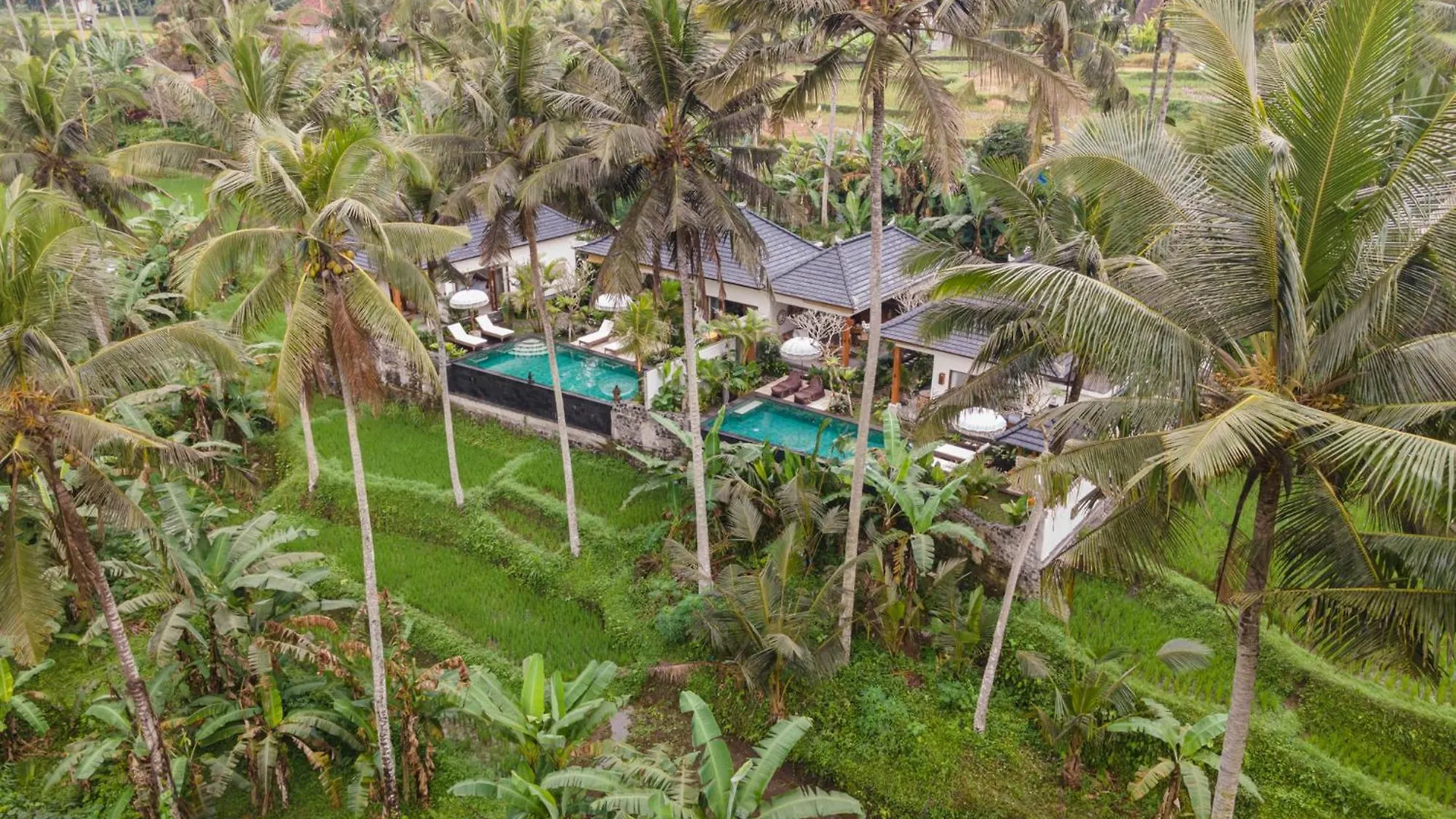 Graha Padi Villa Ubud